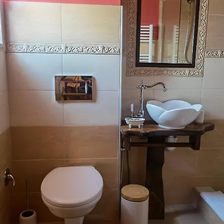 тодора Todora Gasthof Vratsa