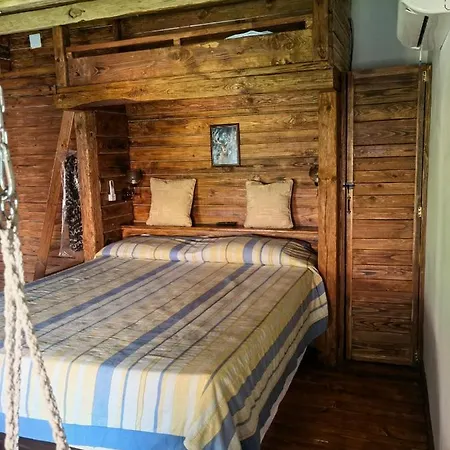 тодора Todora 3* Vratsa