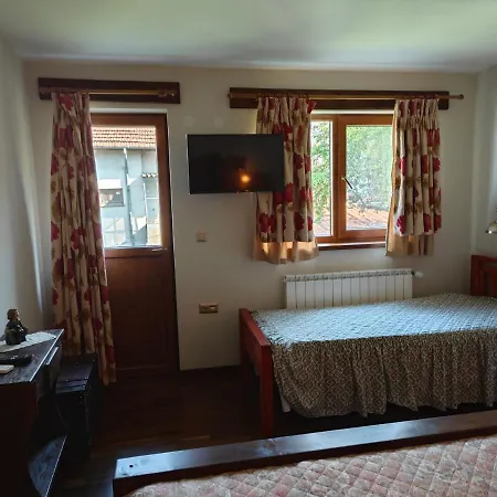 тодора Todora 3* Vratsa