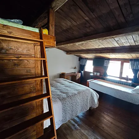 тодора Todora 3*