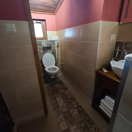 тодора Todora 3* Vratsa