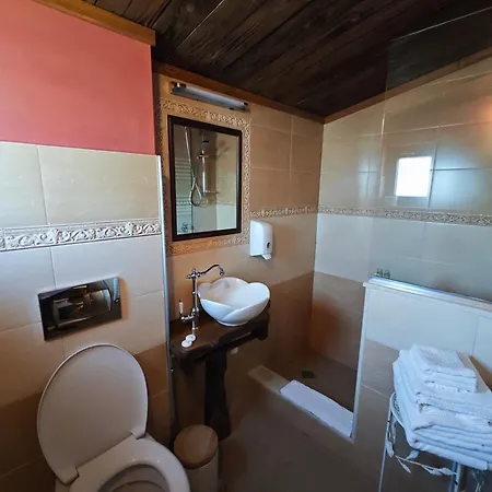 Gasthof тодора Todora Vratsa