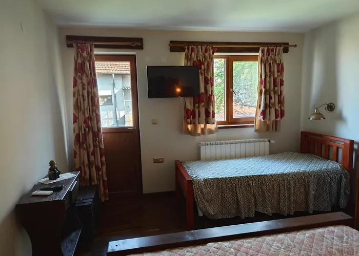 тодора Todora 3* Враца